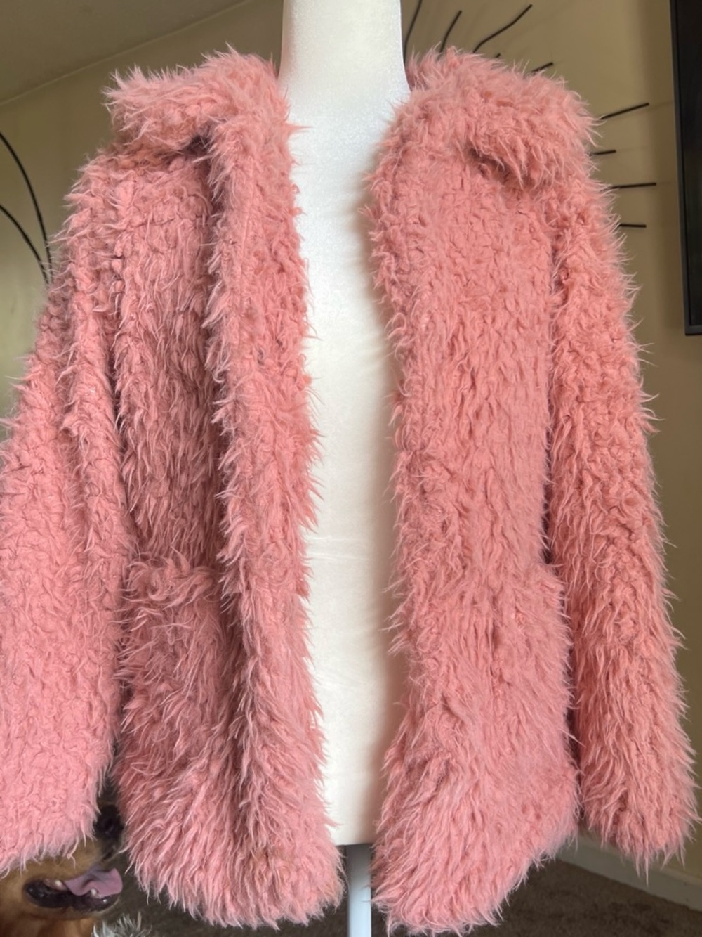 Ambiance Outerwear Faux Fur Pink Hooded Jacket - Women size s